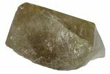 Rutilated Smoky Quartz Crystal - Brazil #172998-1